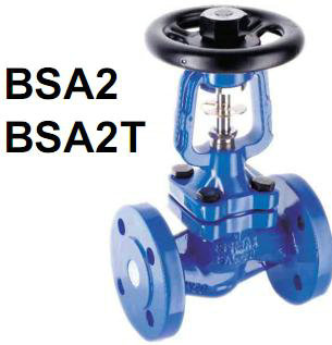 ˹ɯBSA2Tֹ