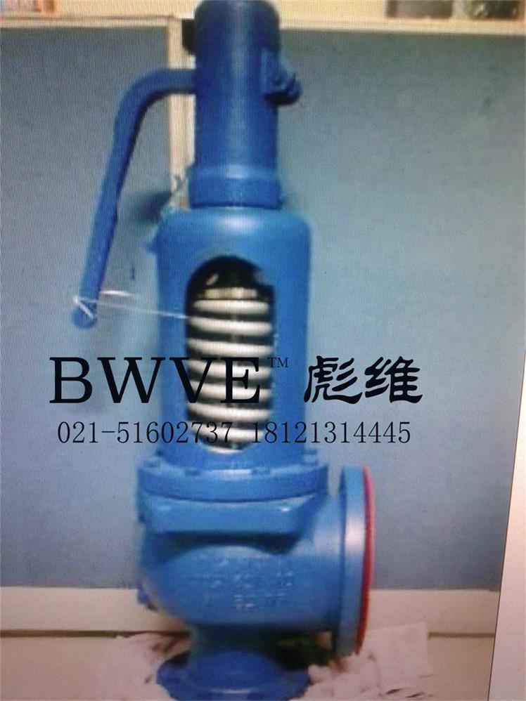 斯派莎克SV607安全阀